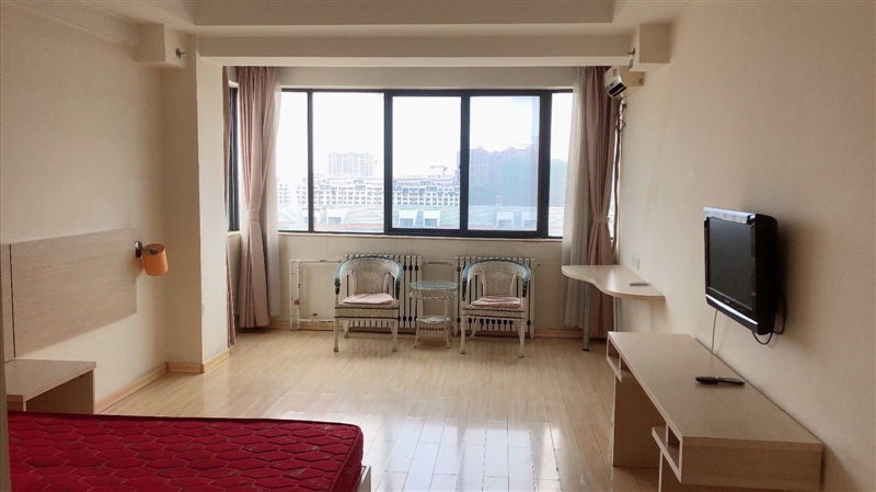 霸力大厦,精装公寓,电梯房,带家具家电,拎包入住