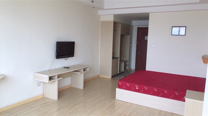 霸力大厦,精装公寓,电梯房,带家具家电,拎包入住