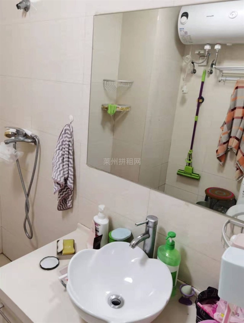 城东,文苑星城,精装公寓,电梯房,带家具家电,拎包入住