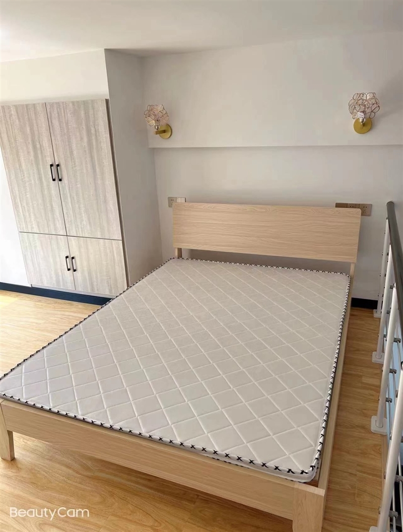 瑞莱首府两室两厅精装复式电梯公寓拎包入住