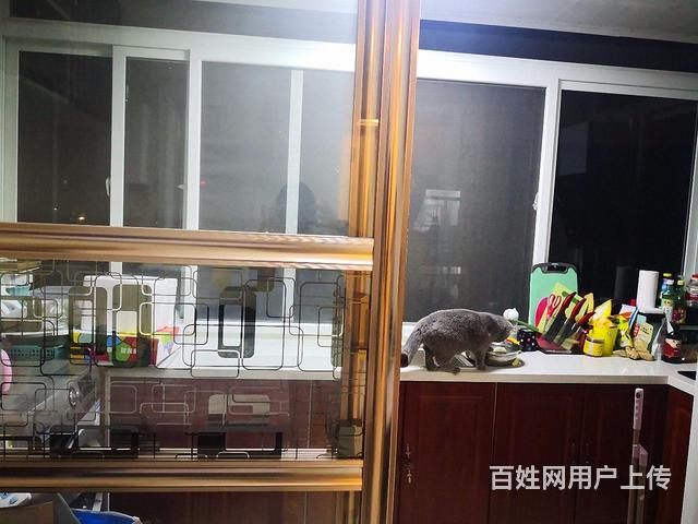 急售!!!新海阳西街