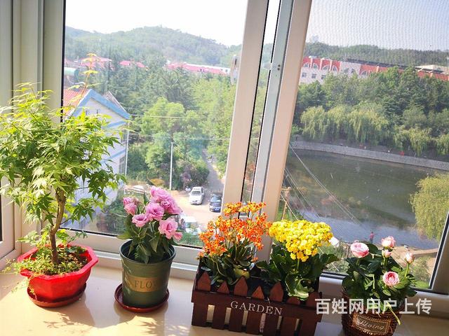 急售!!!新海阳西街