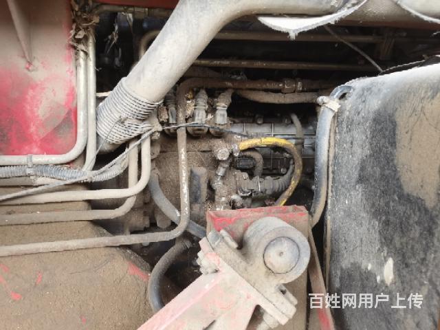 20年冀新两行茎惠兼收