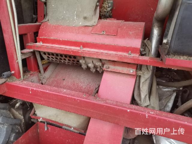 20年冀新两行茎惠兼收