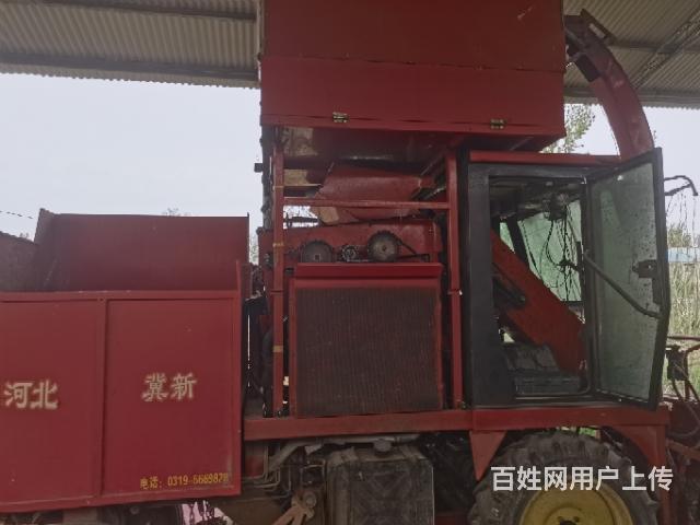 20年冀新两行茎惠兼收