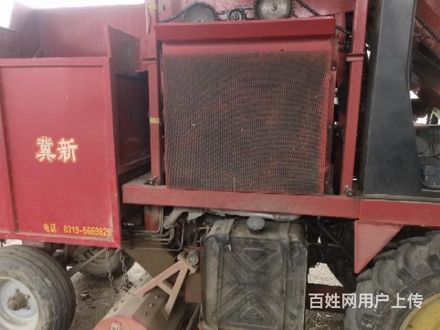 20年冀新两行茎惠兼收