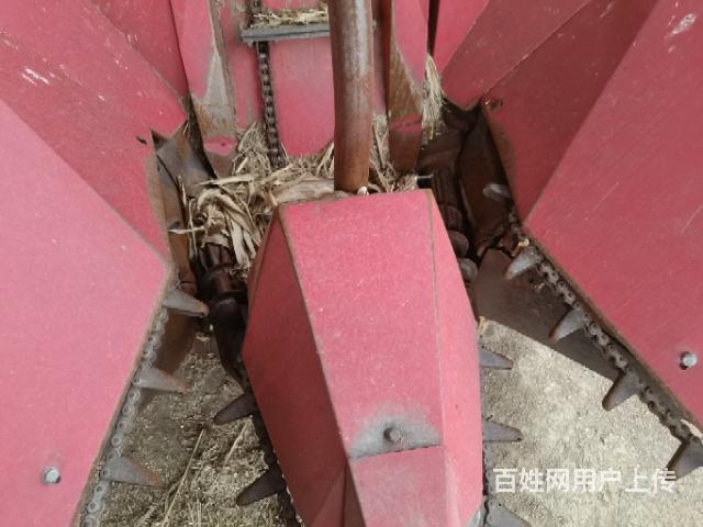 20年冀新两行茎惠兼收