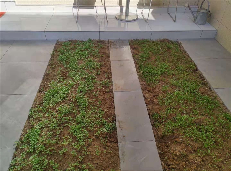 一小学区房一楼带院,精装未住,地暖双气,