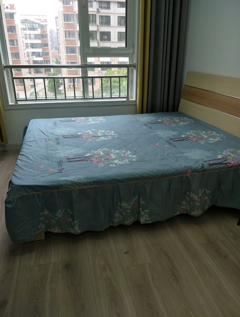 出租金日天璞精装公寓