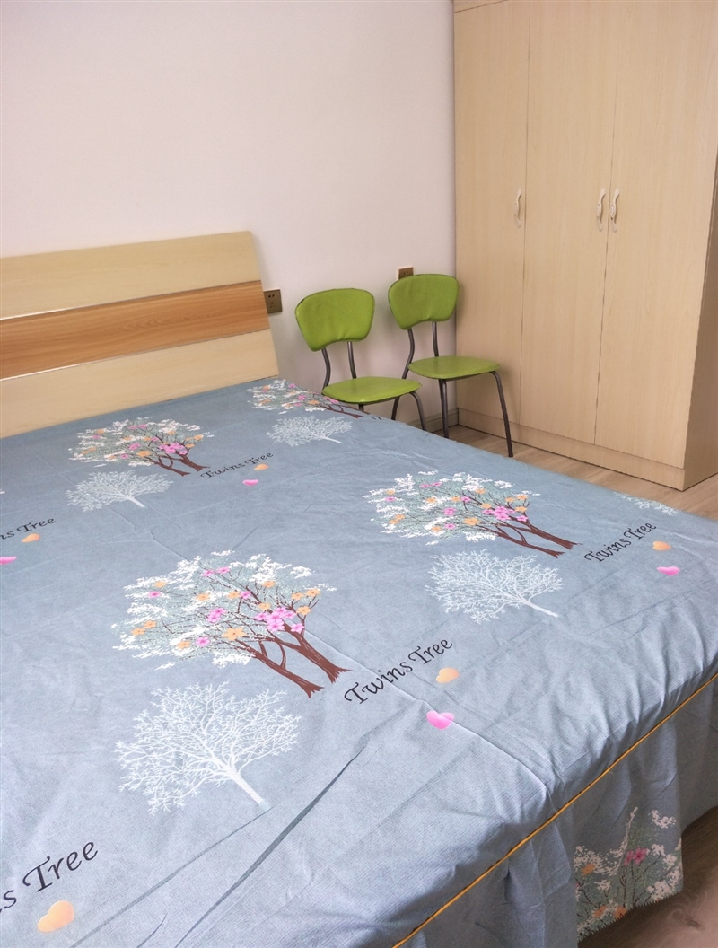 出租金日天璞精装公寓