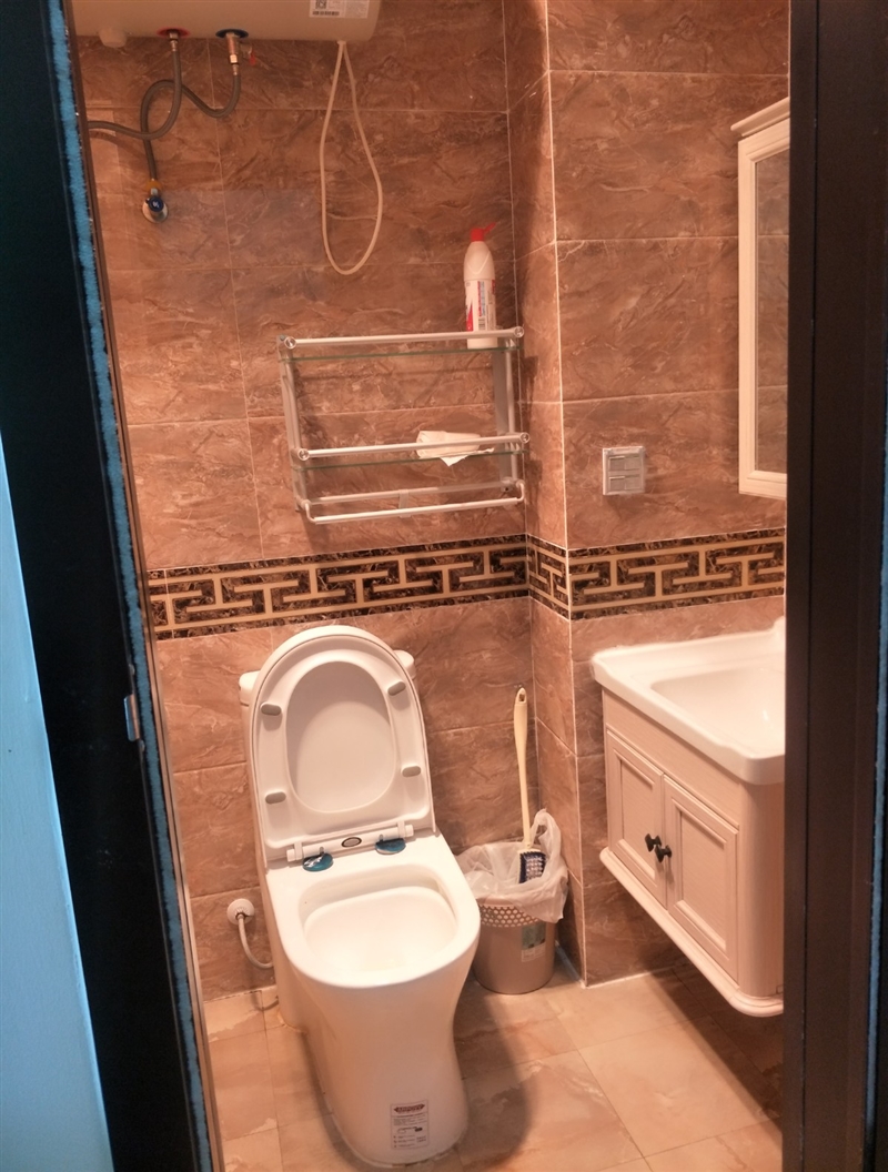 出租金日天璞精装公寓