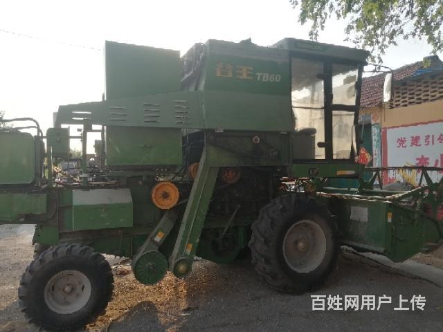 17年使用的谷王六零小麦联合