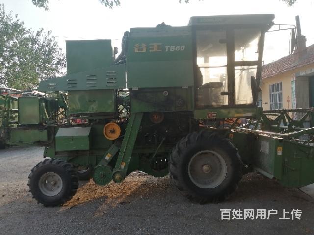 17年使用的谷王六零小麦联合