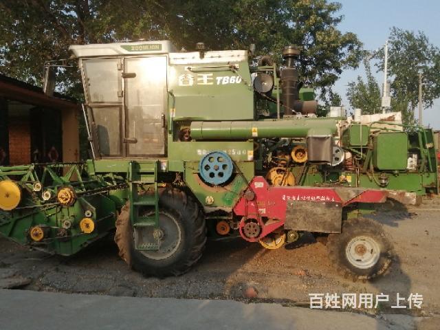 17年使用的谷王六零小麦联合