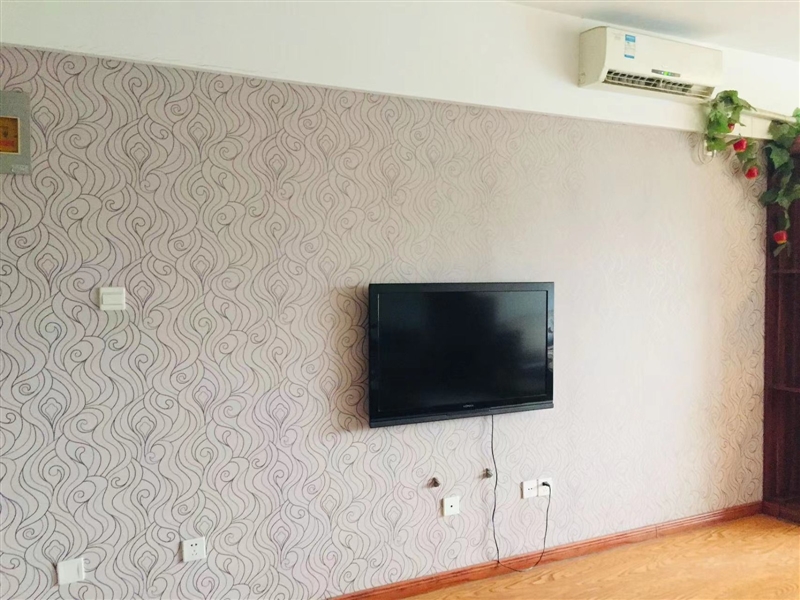 新一中附近公寓出租!