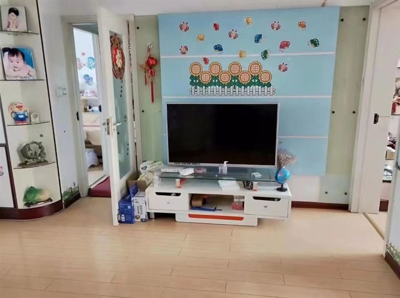 文峰对面,文峰小区,精装修,带家具家电,拎包入住