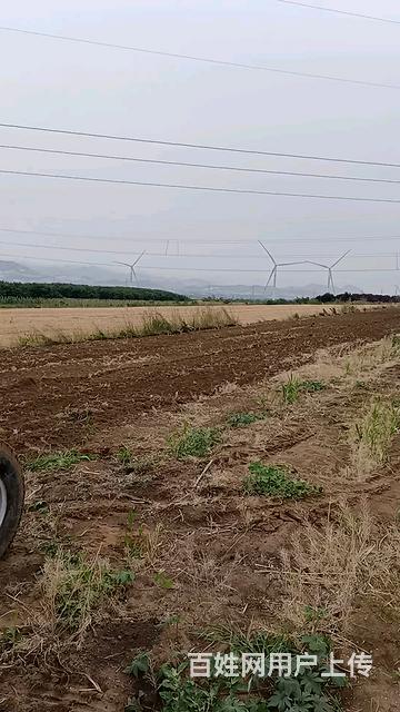 东方红900拖拉机带旋耕机出售