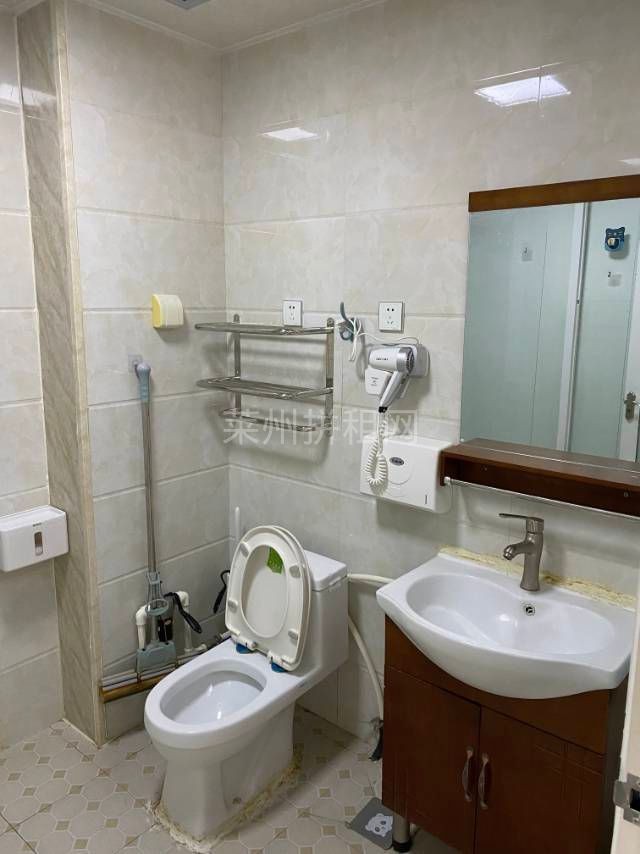 双语,叶县公园附近,精装南向电梯房公寓,带家具家电,拎包入住