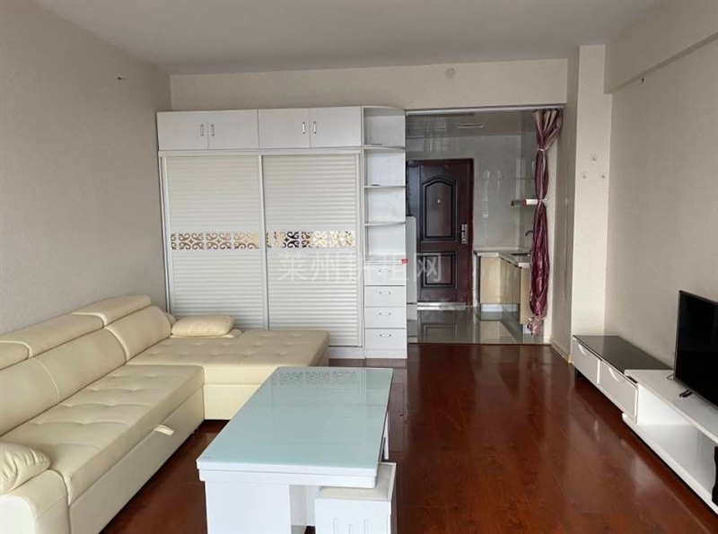 双语,叶县公园附近,精装南向电梯房公寓,带家具家电,拎包入住