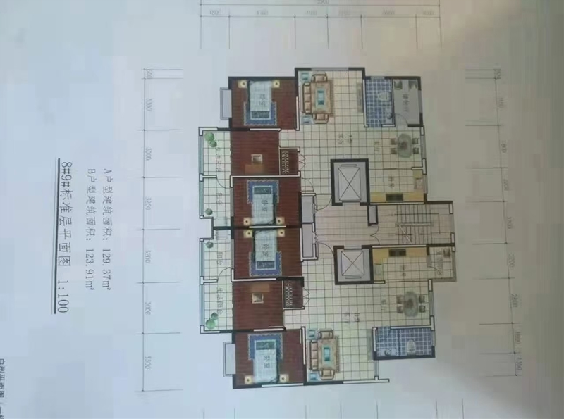 双语学区,双语紧邻
