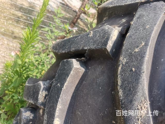 精品东方红1304