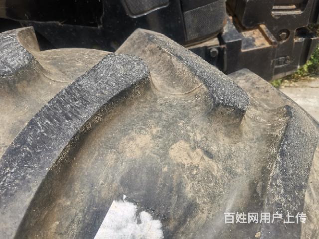 精品东方红1304