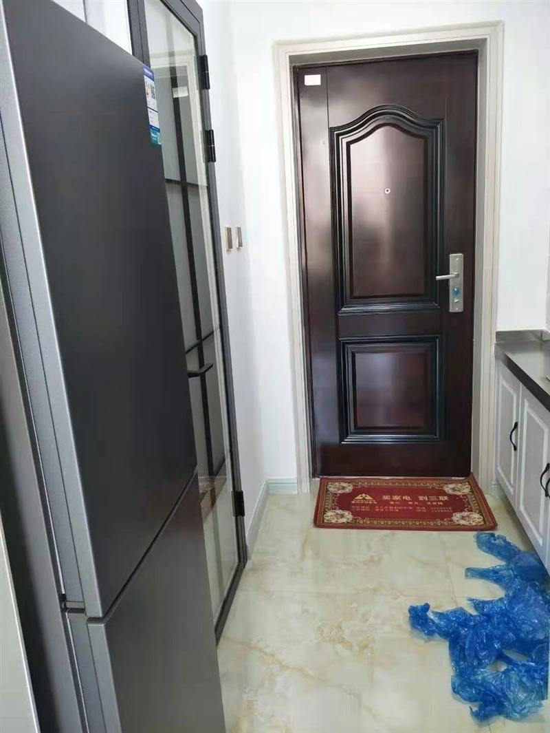 出租金日天璞精装公寓复式