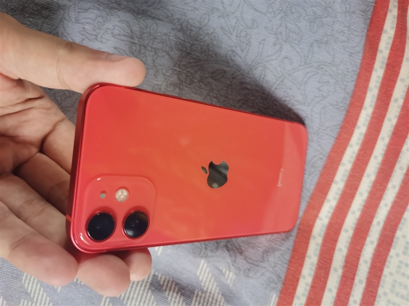 出自用苹果12mini一个