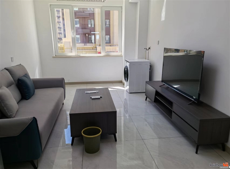 恒隆凯旋城电梯房第一次出租