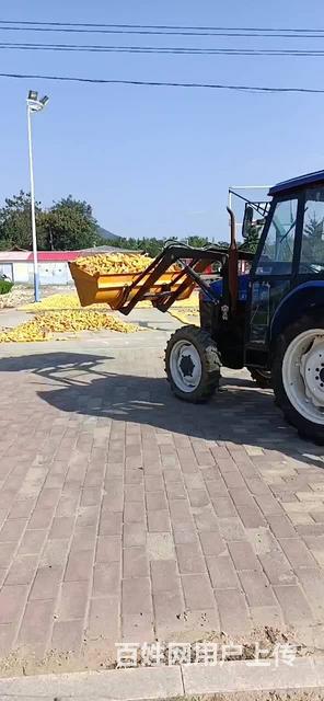 大桥纽荷兰704铲叉两用。