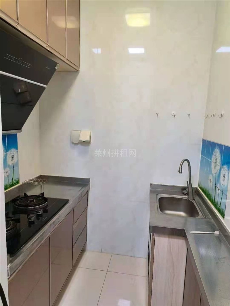 市中心,星光园,电梯房,独立卧室,厨房,有天然气,带家具家电