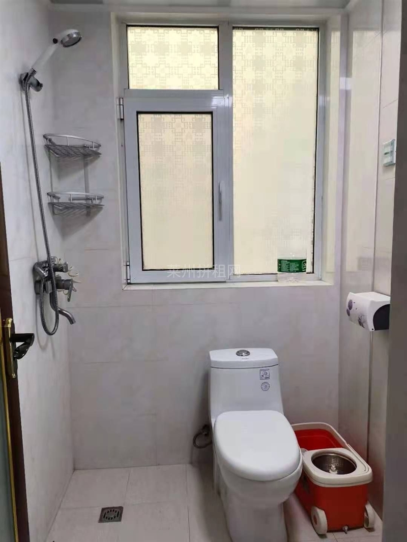 市中心,星光园,电梯房,独立卧室,厨房,有天然气,带家具家电