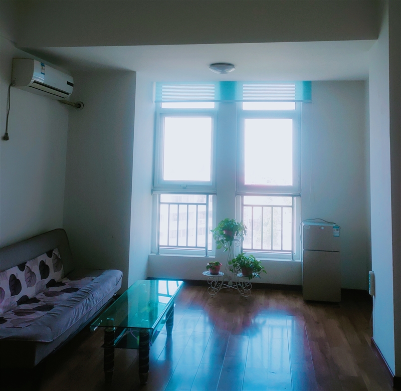 府东苑公寓房出售出租