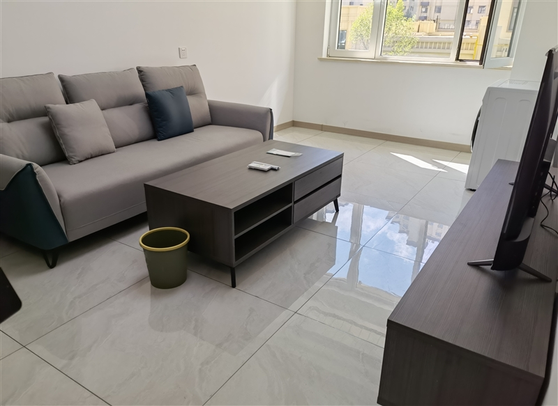 恒隆凯旋城电梯房出租