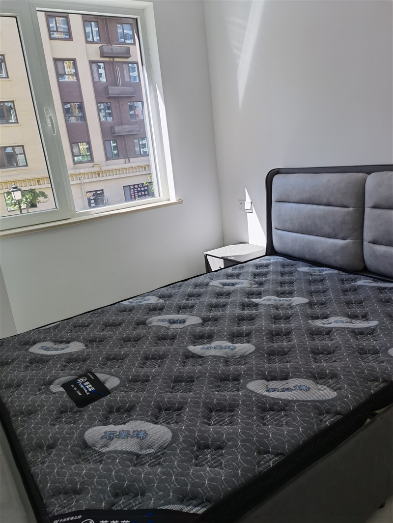 恒隆凯旋城电梯房出租