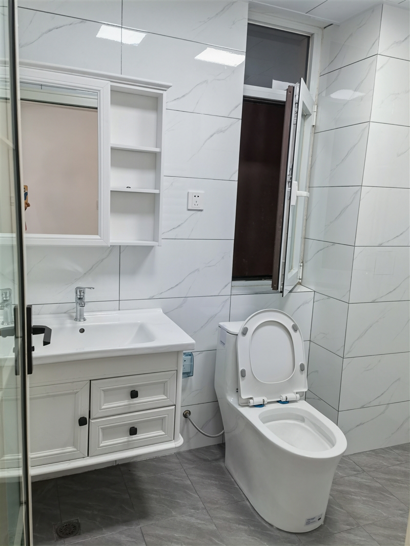 恒隆凯旋城电梯房出租