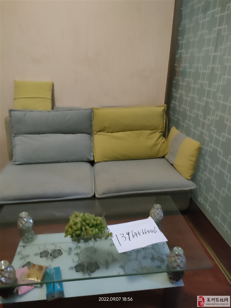 山水国际1室 1厅 1卫950元/月