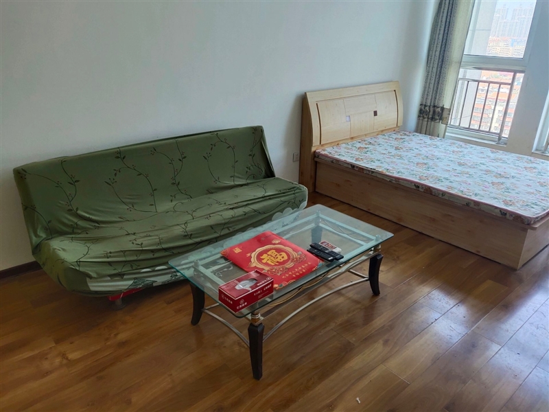 市中心府东苑一室精装电梯公寓,北向,家具家电齐全拎包入住