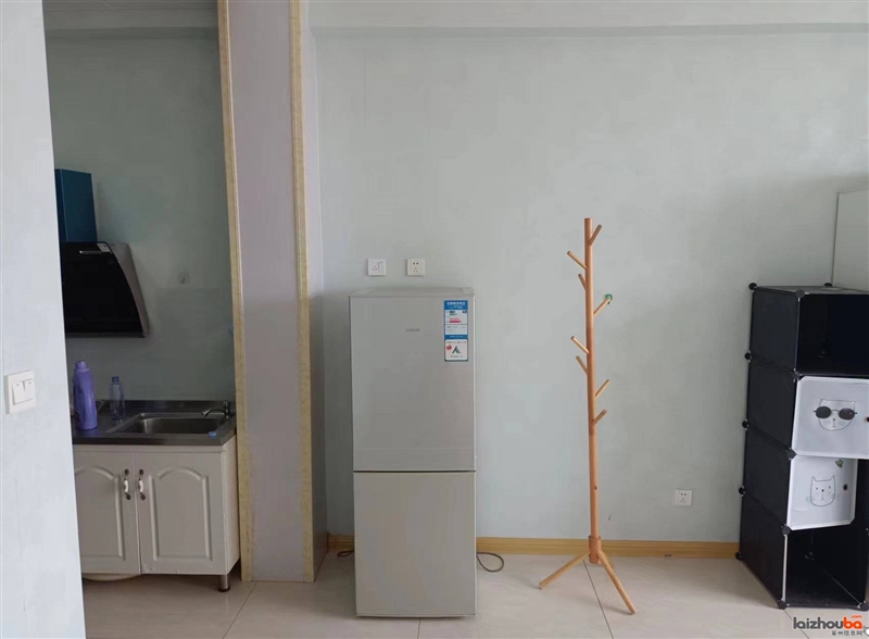 出租维也纳酒店公寓