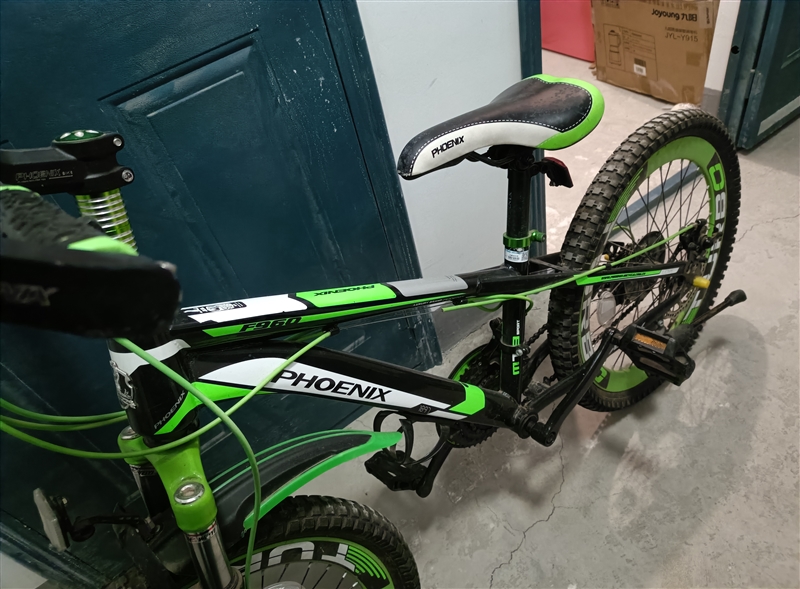 9成新凤凰山地自行车