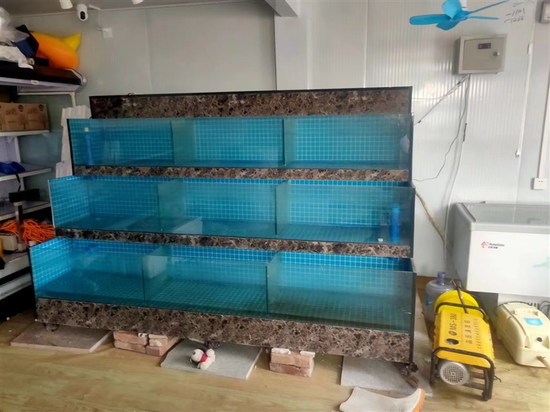 海鲜缸出售 饭点水产店都可用