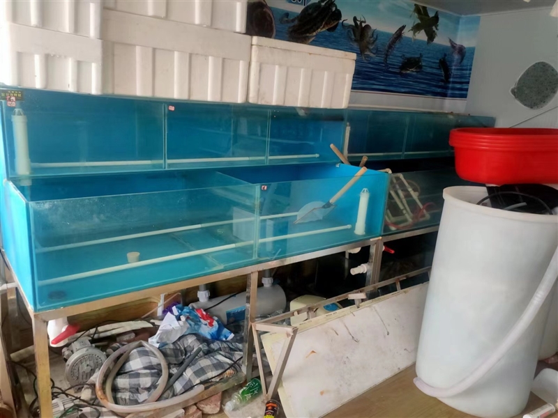 海鲜缸出售 饭点水产店都可用