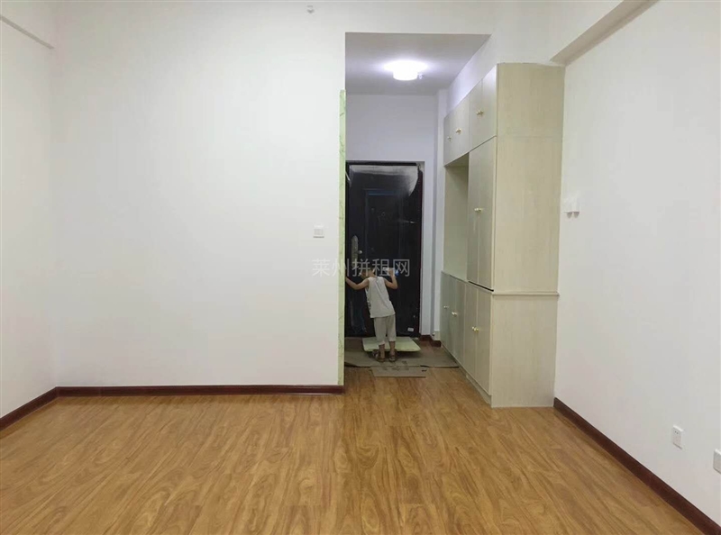 市中心,朗湖国际精装南向公寓,商住两用,精装修