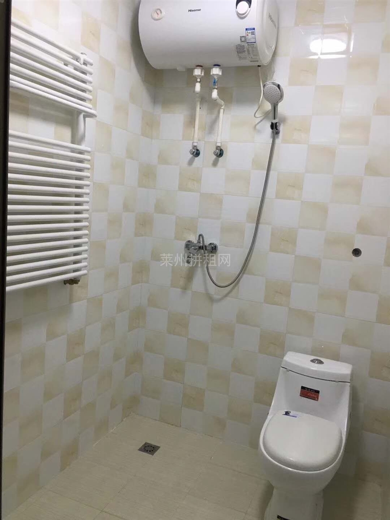市中心,朗湖国际精装南向公寓,商住两用,精装修