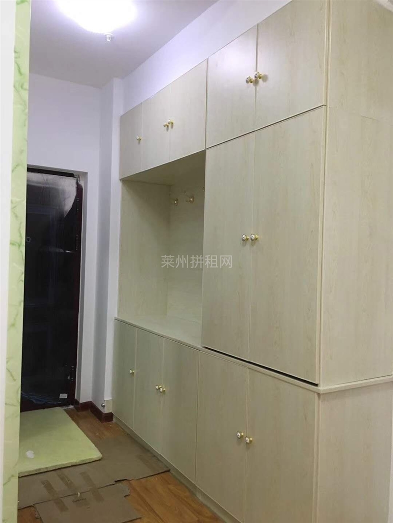 市中心,朗湖国际精装南向公寓,商住两用,精装修