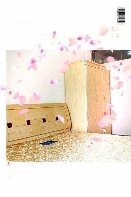 出租城南一室精装电梯公寓,家具家电齐全,拎包入住楼下好停车