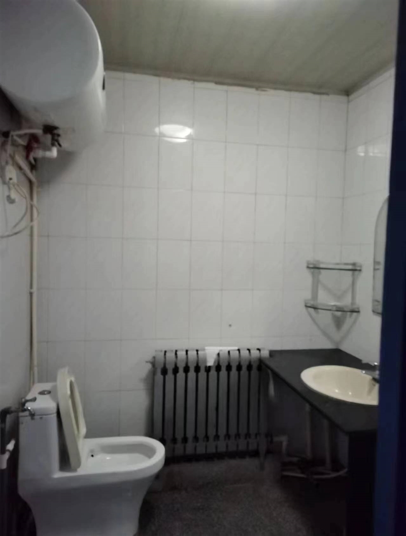 市中心民房,集体供暖天然气齐全