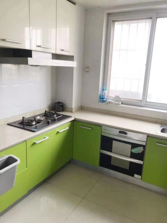 出租星辉大厦电梯房 精装  商住两用