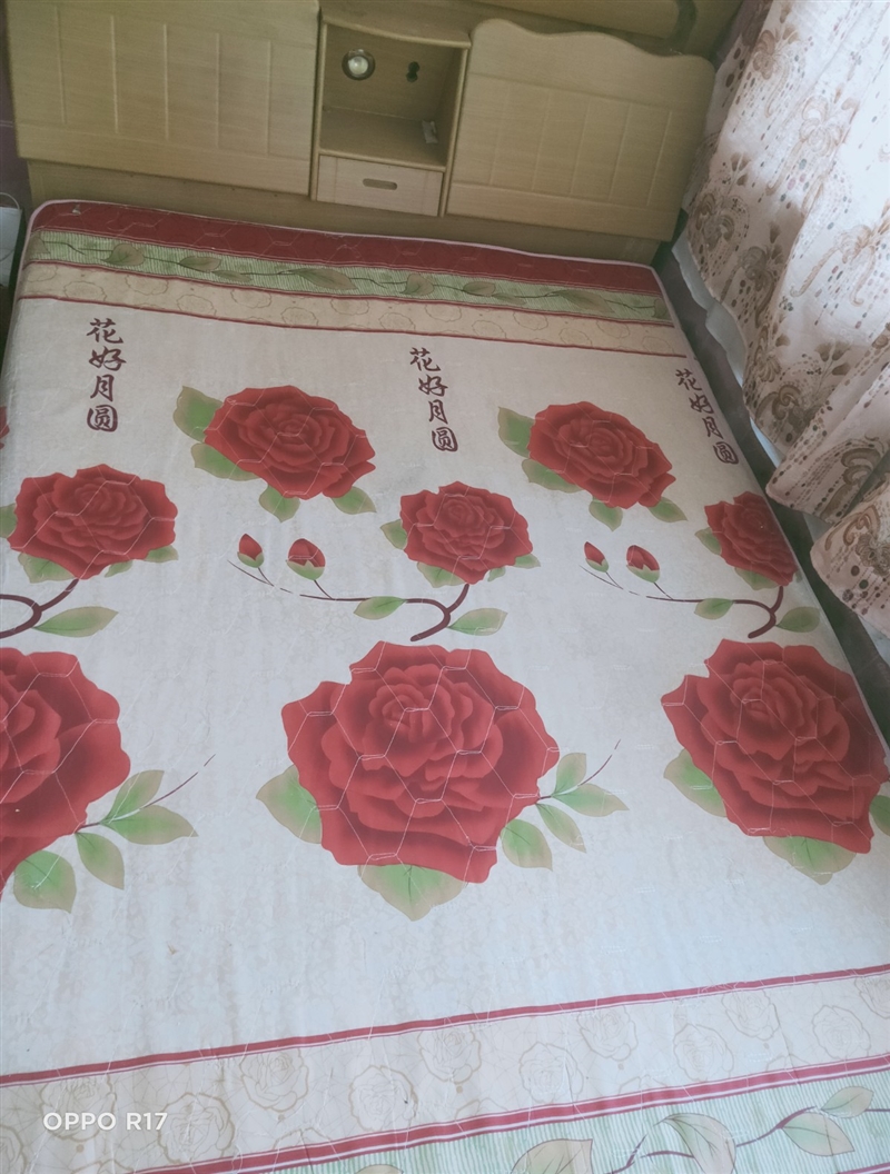 豪华榻榻米床  电脑桌 茶几 椅子等处理