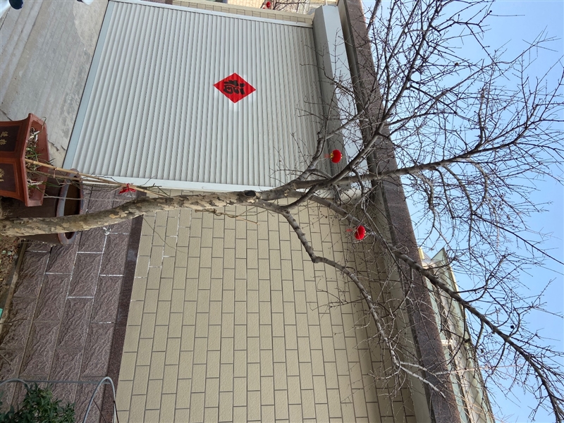 出售市区石榴树